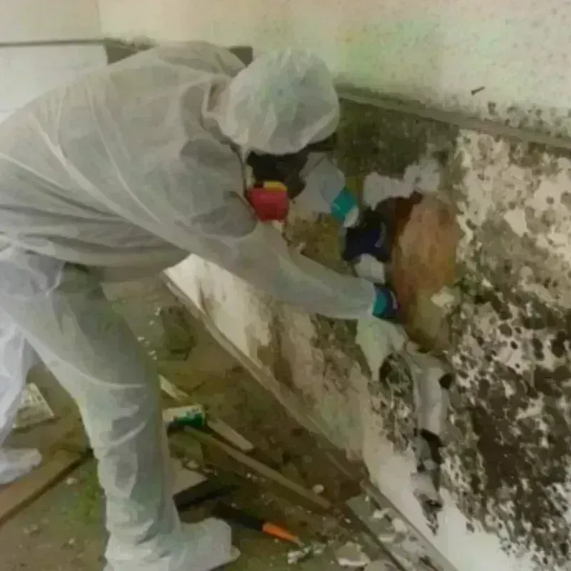 Best Mold Remediation and Removal Service in North Wildwood, NJ