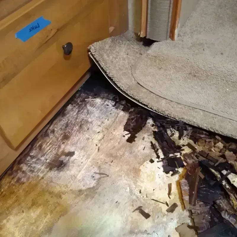 Wood Floor Water Damage in North Wildwood, NJ